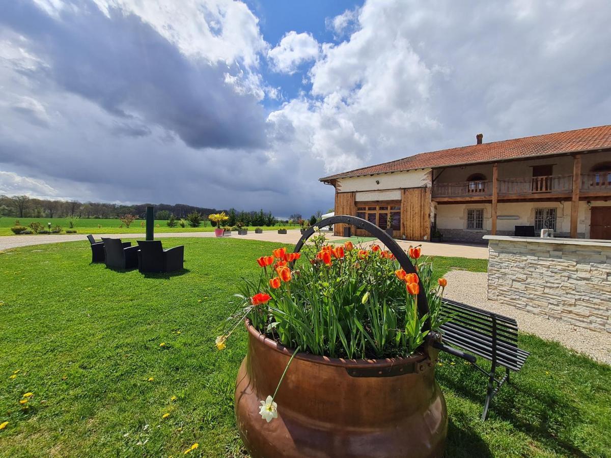 הוילה Saint-André-sur-Vieux-Jonc Domaine Du Cuiset -Gite Des Combles מראה חיצוני תמונה