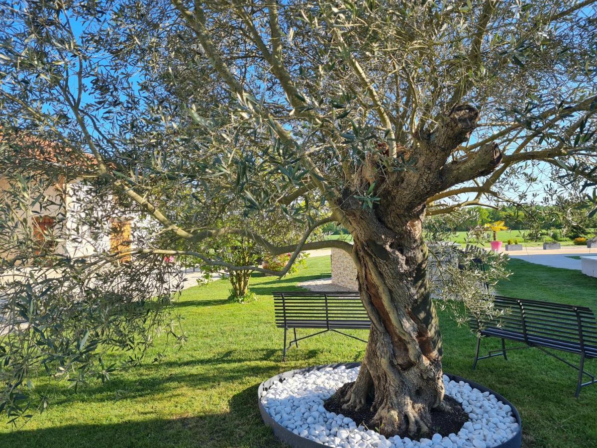 הוילה Saint-André-sur-Vieux-Jonc Domaine Du Cuiset -Gite Des Combles מראה חיצוני תמונה
